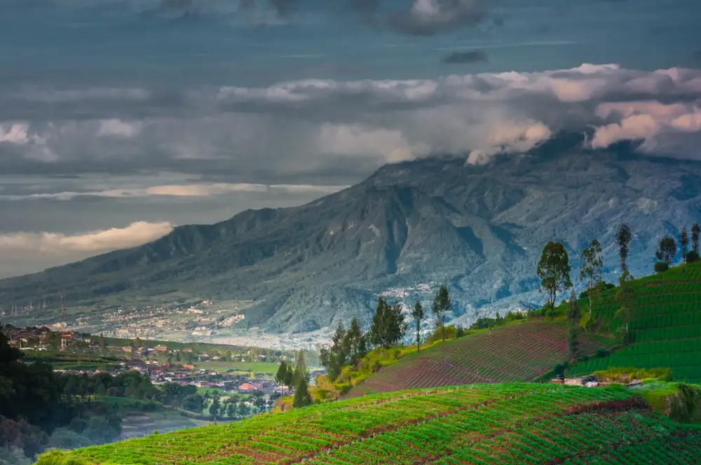 View Pegunungan